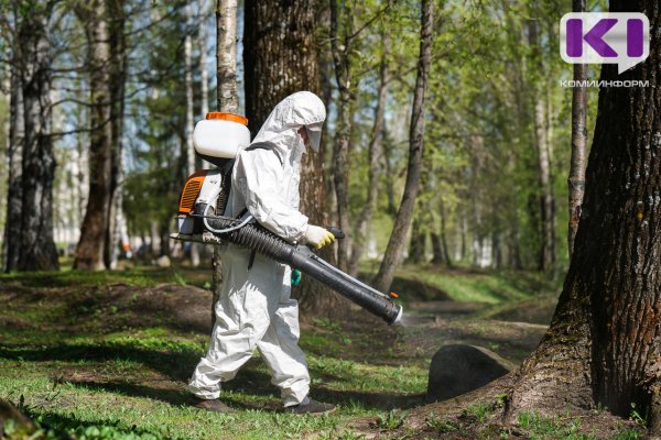 Противоклещевая обработка в Сыктывкаре начнётся раньше обычного