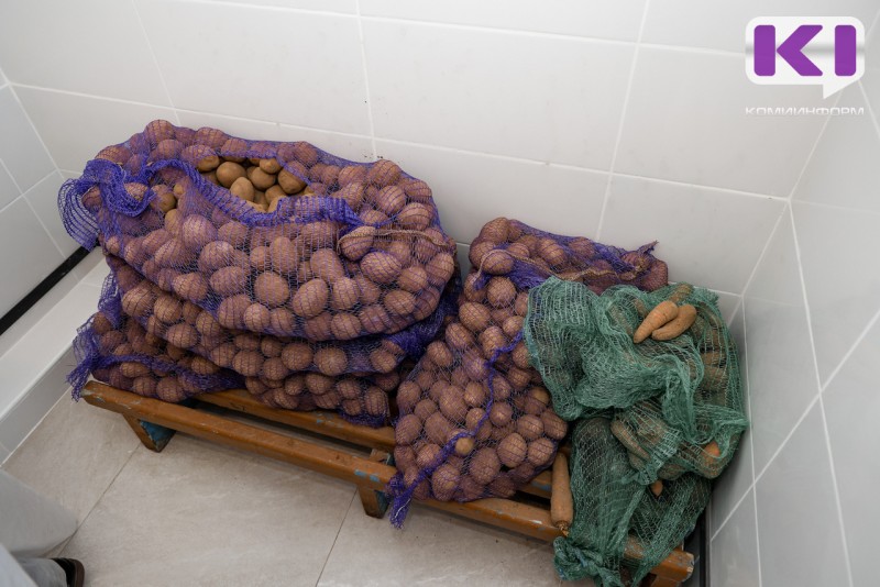 Зачем проращивать картофель, объясняют специалисты Россельхознадзора