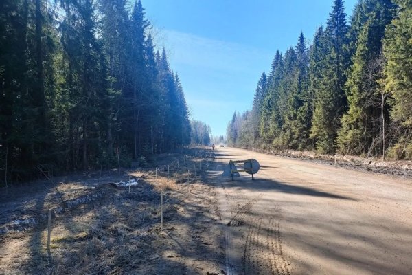 В Сыктывкаре из-за ремонта временно перекроют дорогу к Дырносским дачам