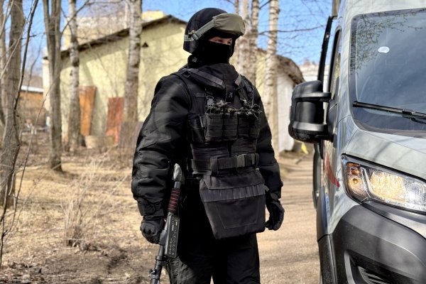 Сыктывкарец на улице Карла Маркса обнаружил подозрительный предмет, схожий с ручной осколочной гранатой