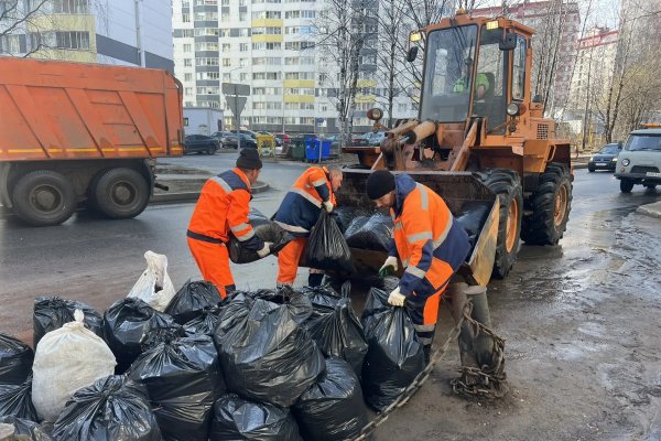 С улиц Сыктывкара за выходные вывезли 82 тонны мусора