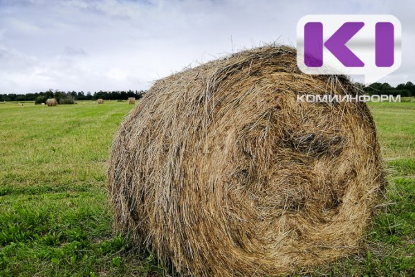 В Коми установят новый порядок перевода земель сельскохозяйственного назначения