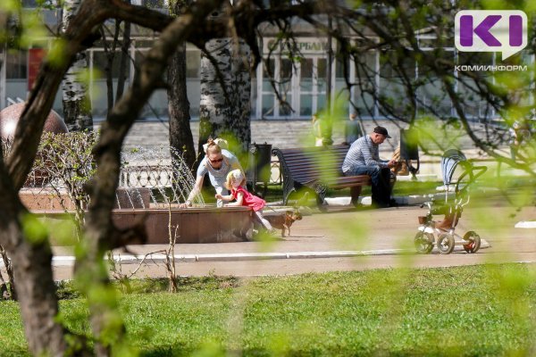 Погода в Коми 13 мая: по-летнему тепло