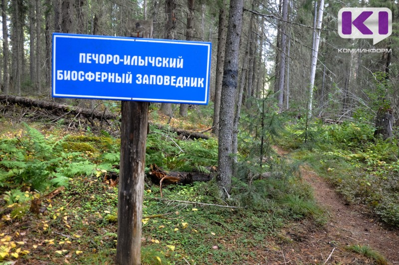 Прокуратура внесла представления двум самым известным заповедным территориям в Коми