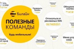 Бесплатный телефон службы поддержки Билайн и не только